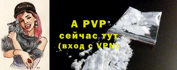сатива Армянск