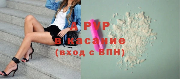 сатива Армянск