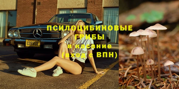 МДПВ Арсеньев