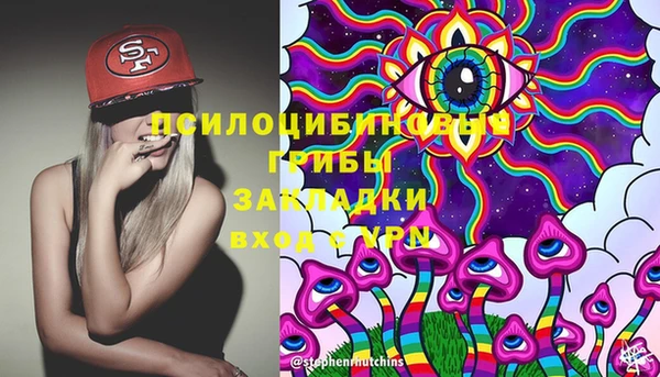 эйфоретик Аркадак